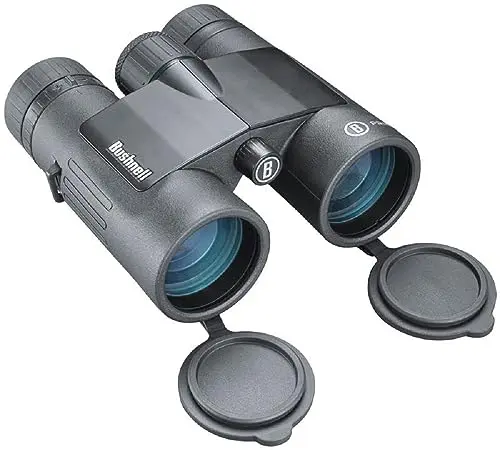 Best 10X42 Binoculars For Hunting - 2026 Reviews - Hobby Hustler